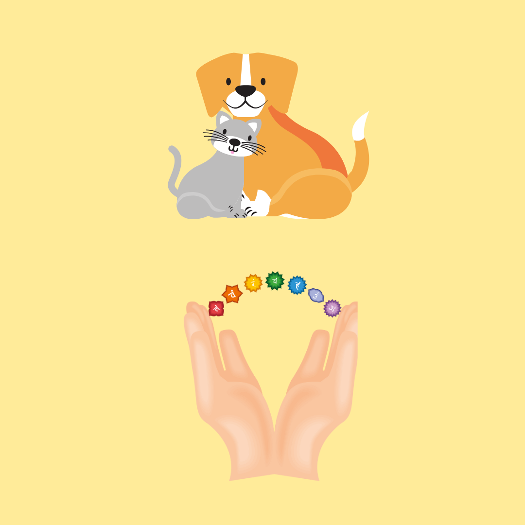 Pet Reiki