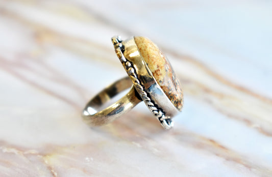 Picture Jasper (Size 7) - Stones of Transformation