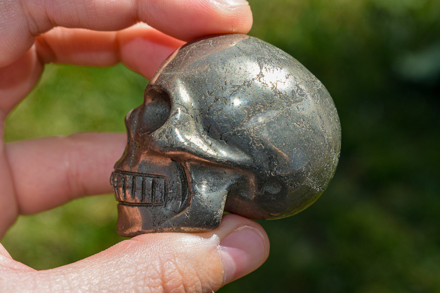 Pyrite Skull