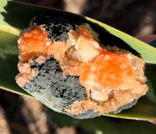 Raw Thomsonite