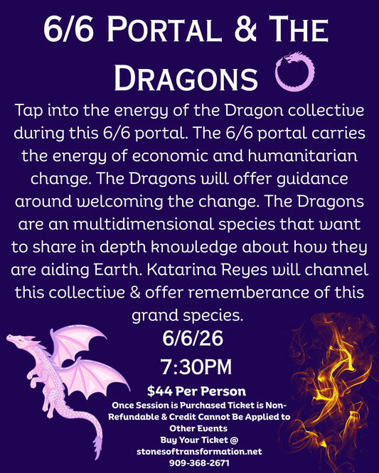 6/6 Portal & The Dragons