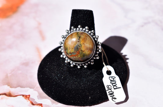 stones-of-transformation - Bloodstone Ring (Size 9) - Stones of Transformation - 