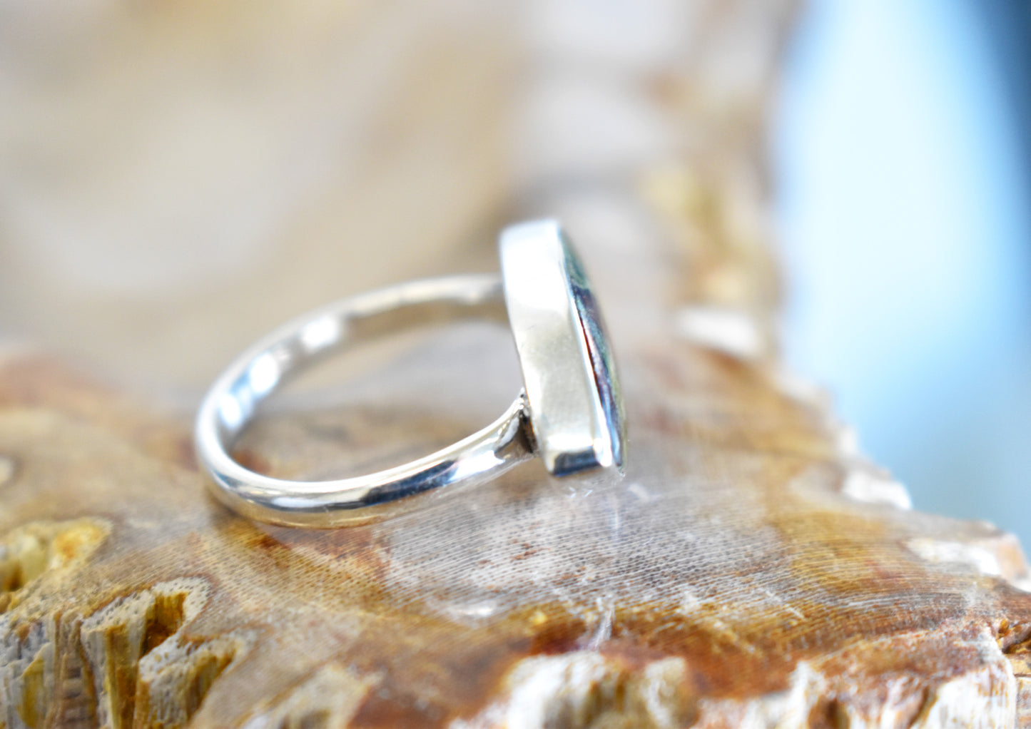 Dragons Blood Jasper Ring (Size 8)