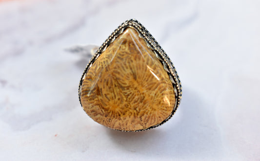 stones-of-transformation - Fossil Agate Ring (Size 9) - Stones of Transformation - 
