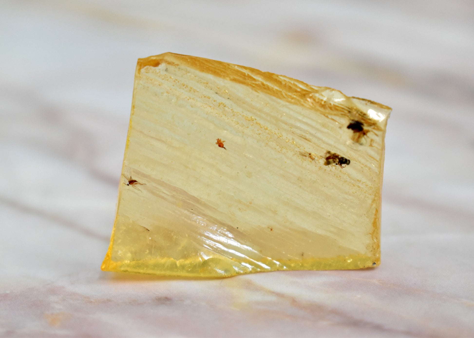 stones-of-transformation - Copal Amber - Stones of Transformation - 
