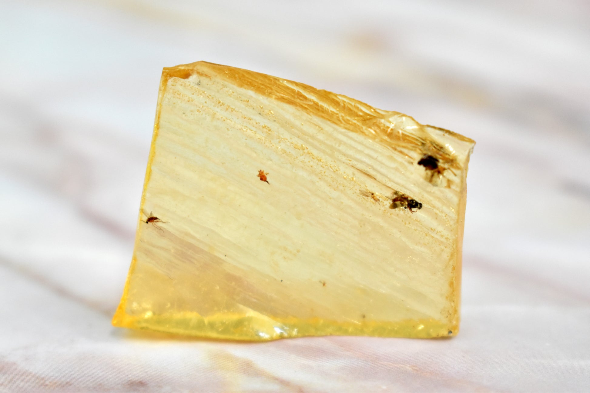 stones-of-transformation - Copal Amber - Stones of Transformation - 