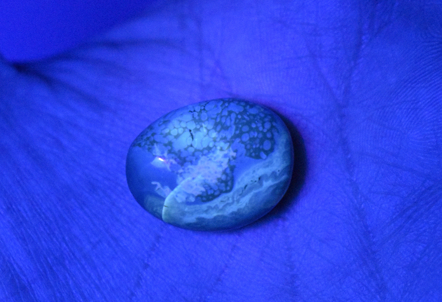 Blue Amber