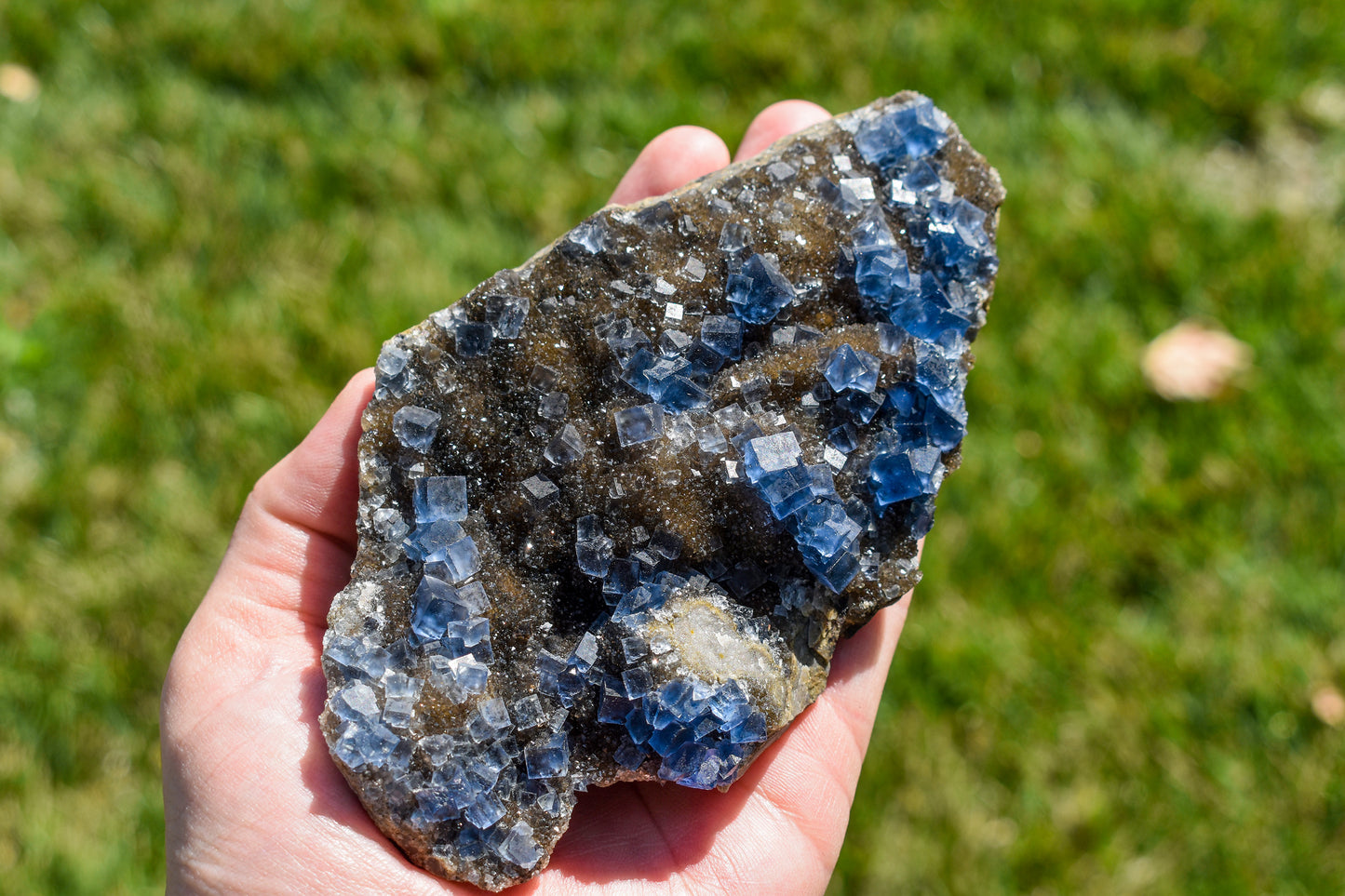 Blue Fluorite Specimen