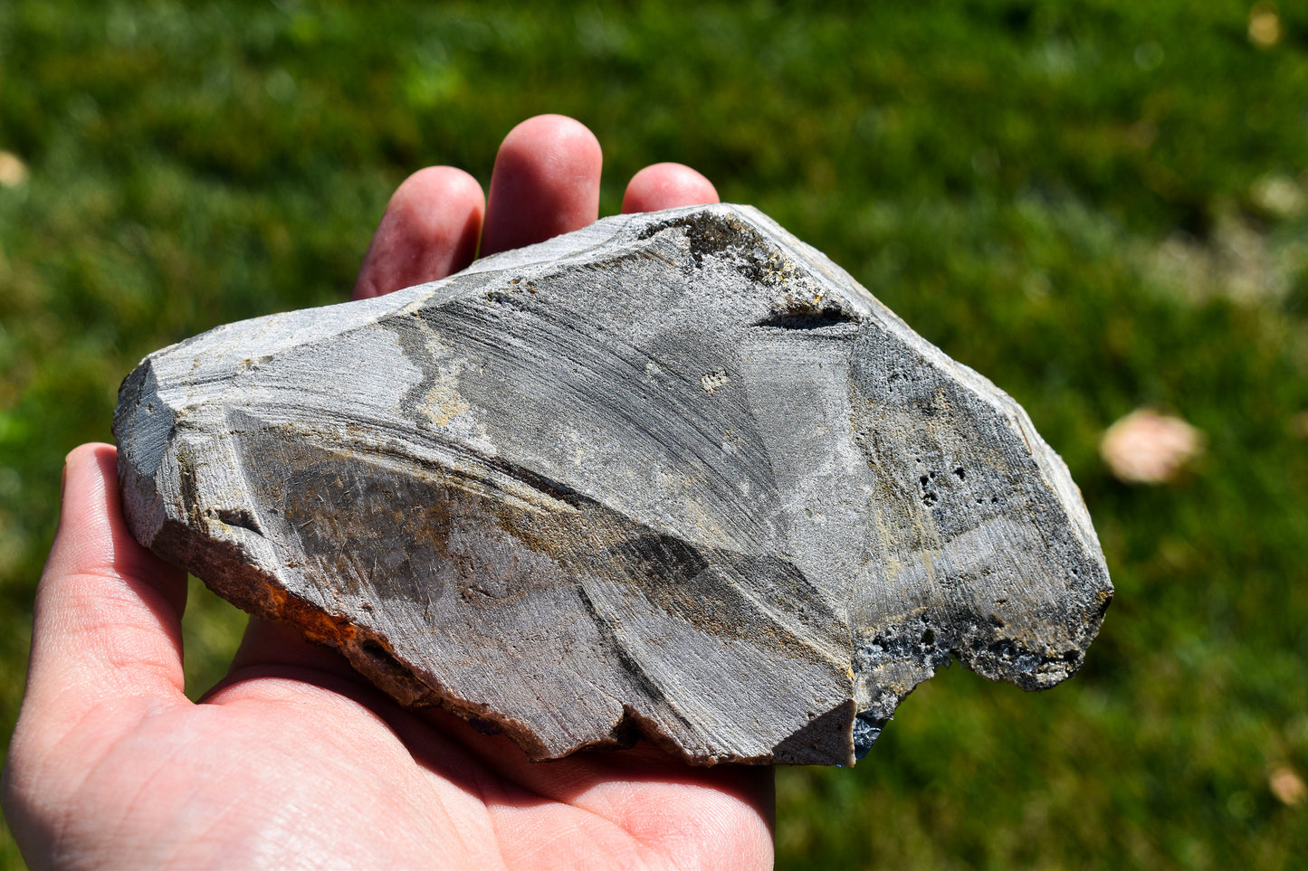 Blue Fluorite Specimen