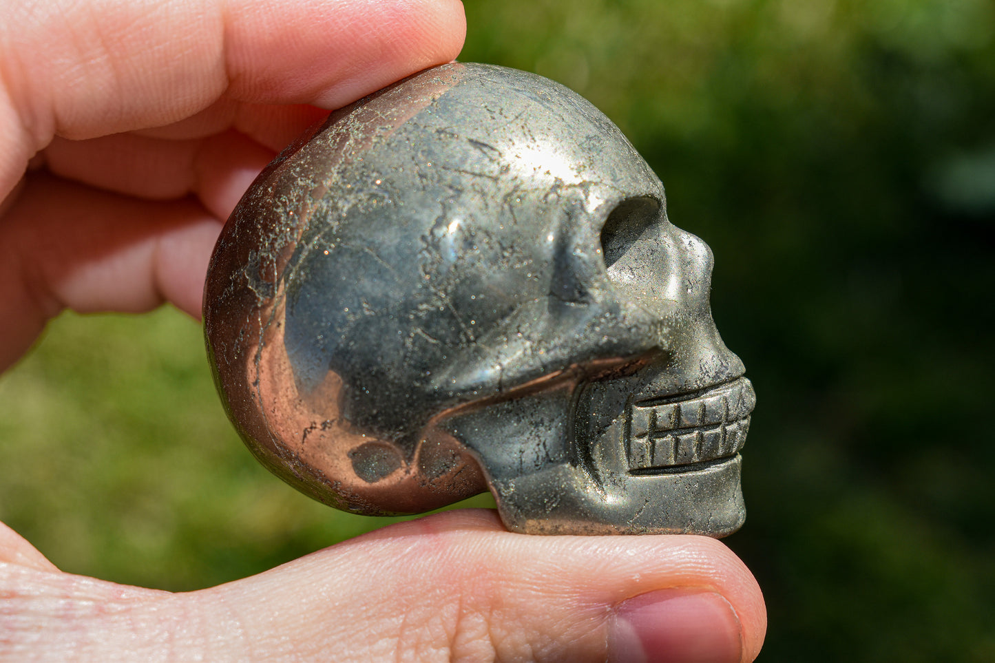 Pyrite Skull