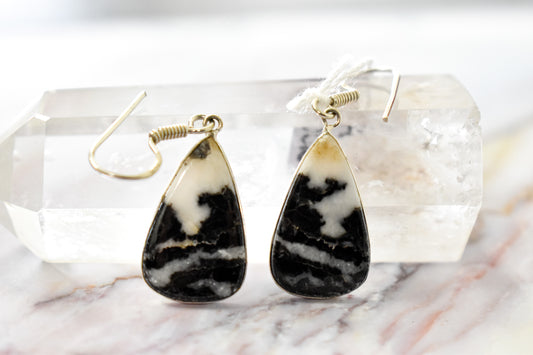 White Buffalo Turquoise Earrings